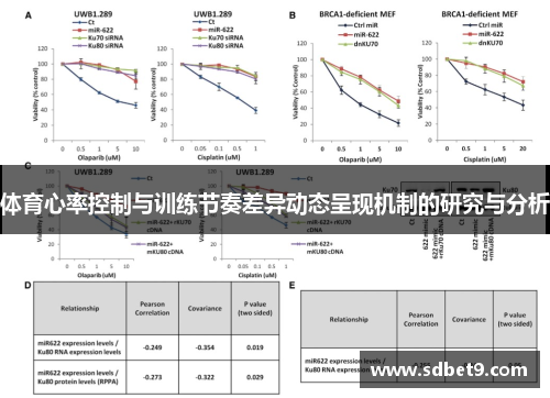 体育心率控制与训练节奏差异动态呈现机制的研究与分析